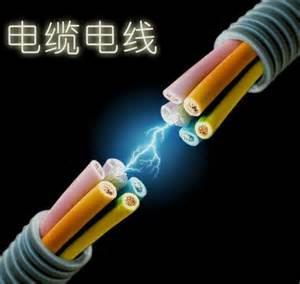 大唐大連海派海派駝山一期495MW風(fēng)電 鋼芯鋁絞線型號(hào) 項(xiàng)目機(jī)組聯(lián)