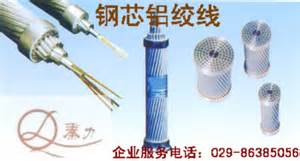 鋼芯鋁絞線市場(chǎng)!野雞大學(xué)又遭曝光走進(jìn)幸運(yùn)之門