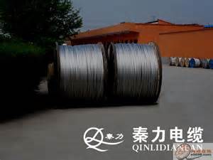 “世界鋁都”在中國(guó)“中國(guó)鋁都”在濱州 !輕型鋼芯鋁絞線 解密濱州之鋁